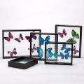 Hot Sale Cheap Custom Double side glass plant specimen MDF photo picture frame Wholesale